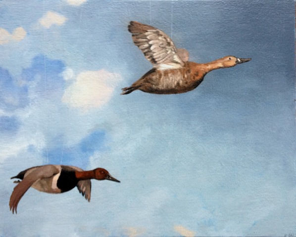 Birds 3, The Manitoba Museum