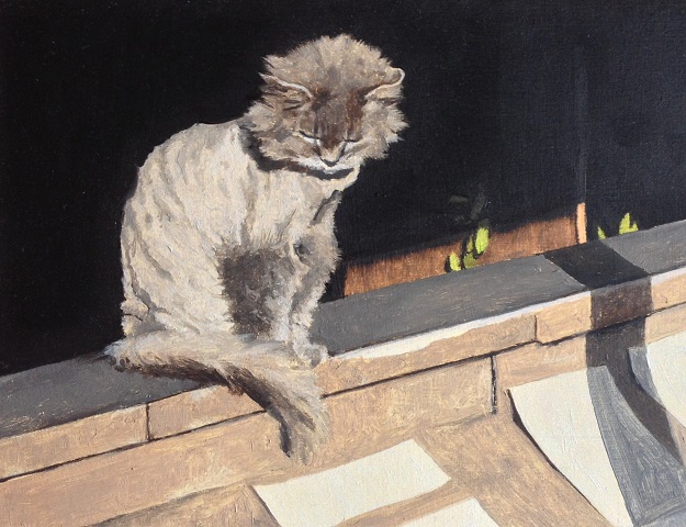 Cat in Shop Window, Edmonton