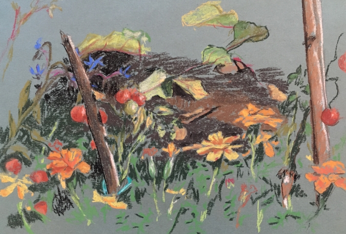 Allotment Garden