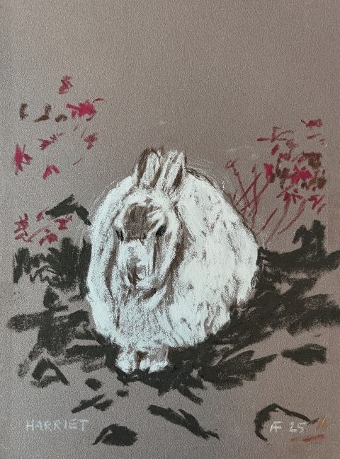 Harriet