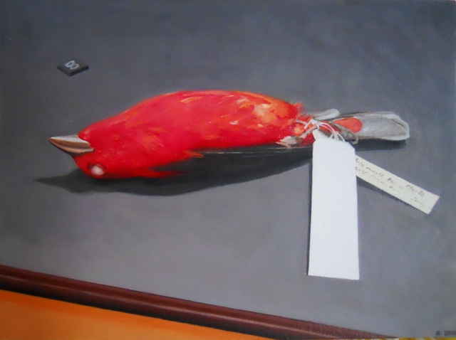 Bird 4, The Manitoba Museum